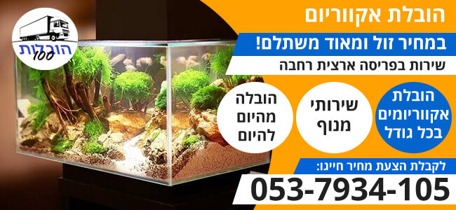 הובלת אקווריום
